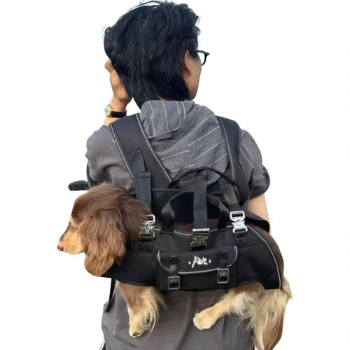 Carriers