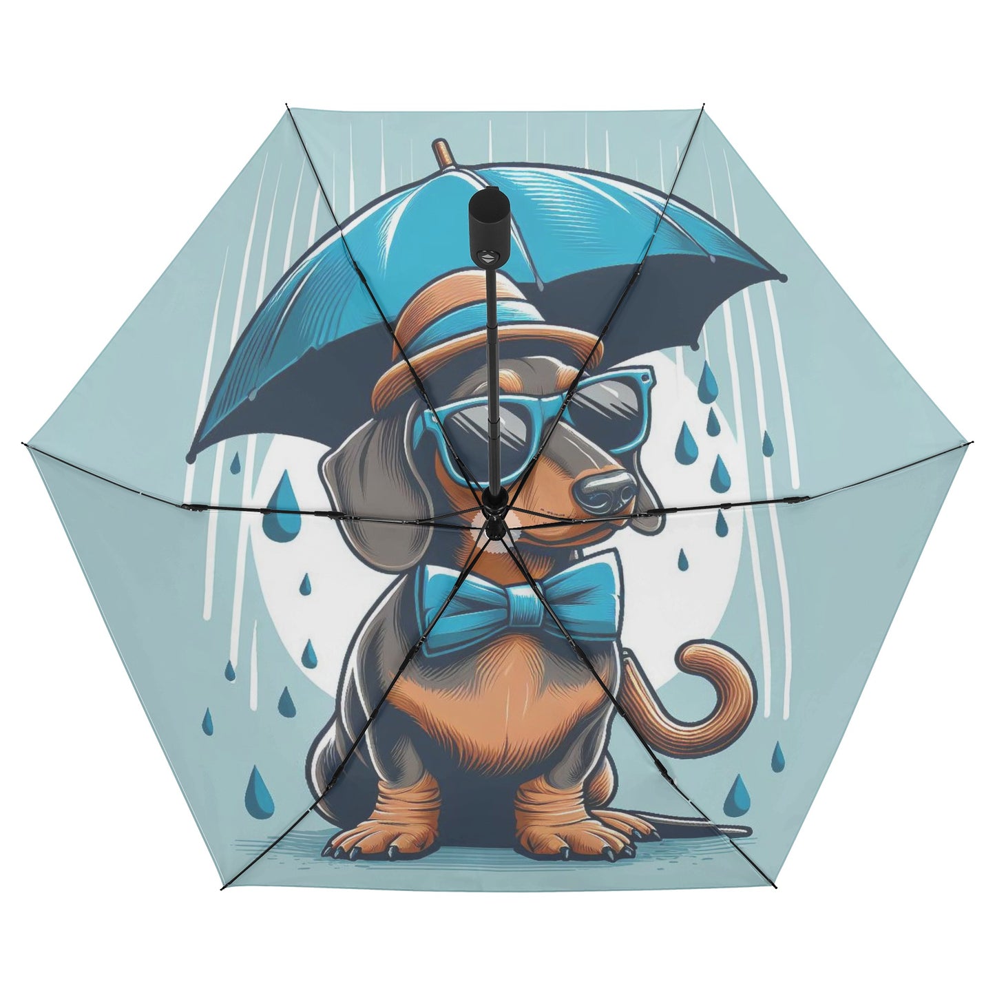 Paisley - Umbrella