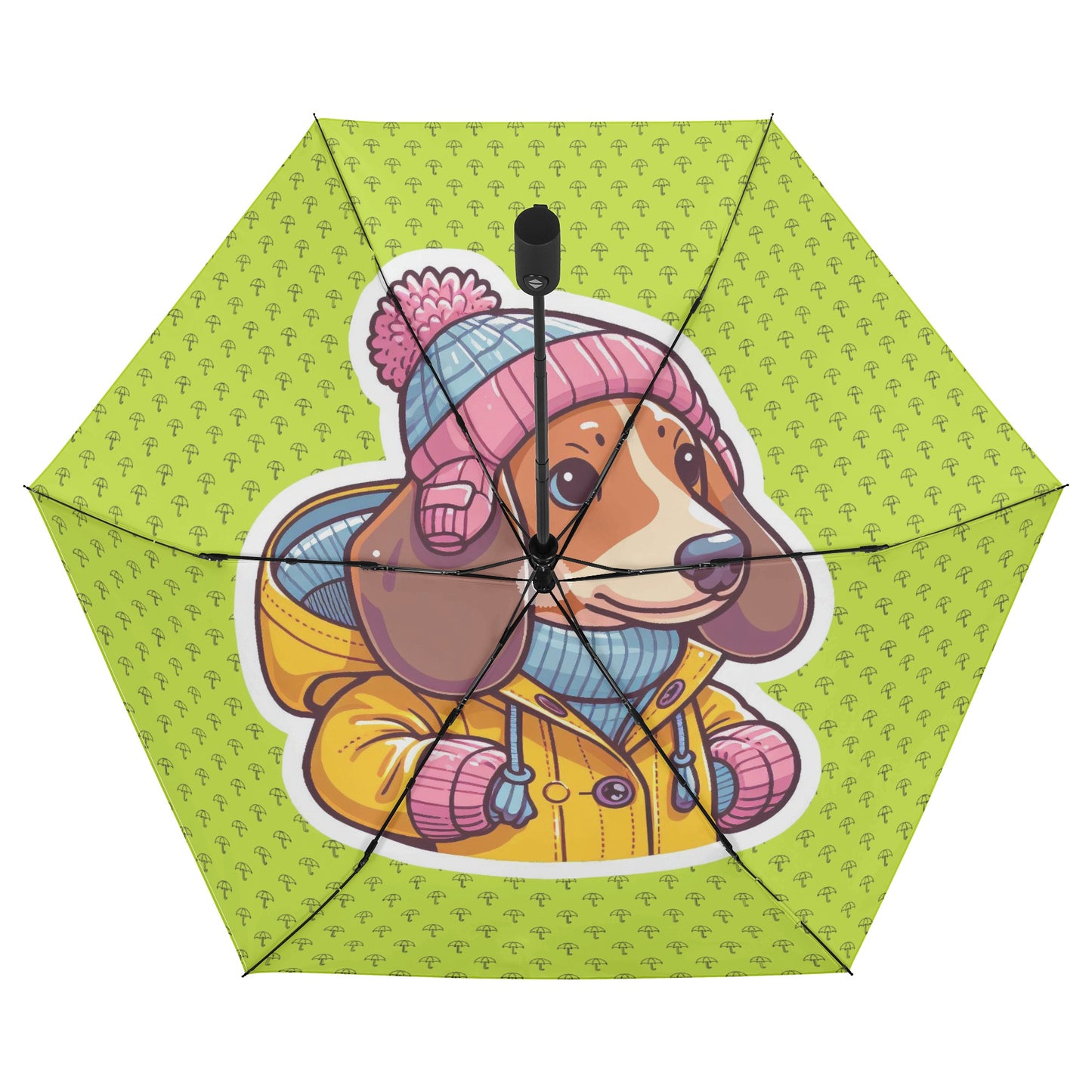 Calipso - Umbrella