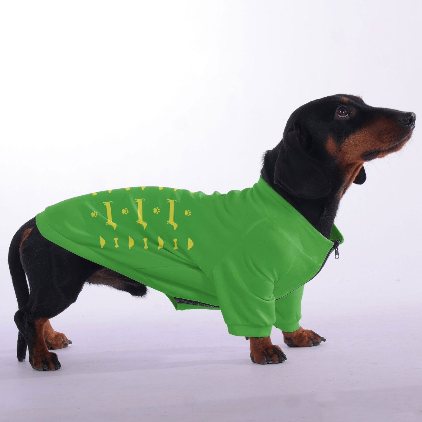 Toby - zip-up hooded sweatshirt for dachshund