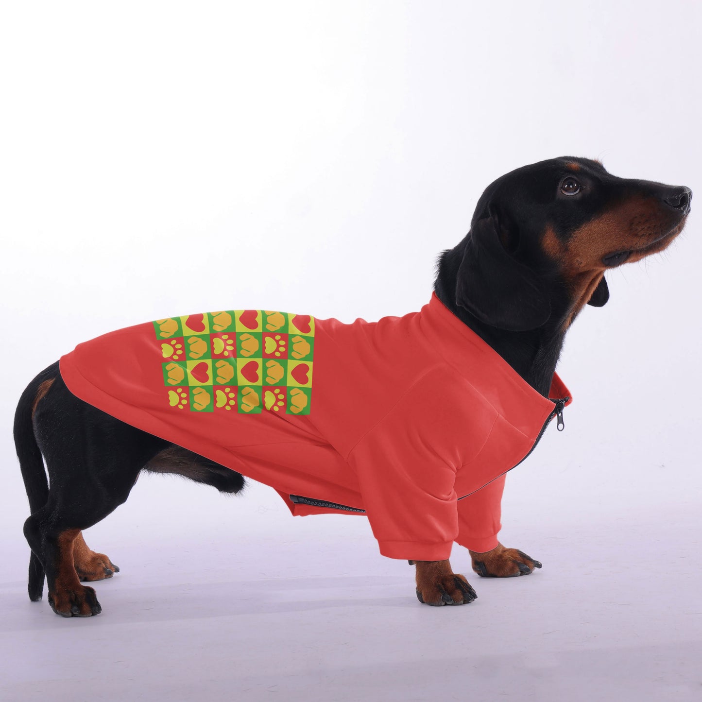 Bailey - zip-up hooded sweatshirt for dachshund