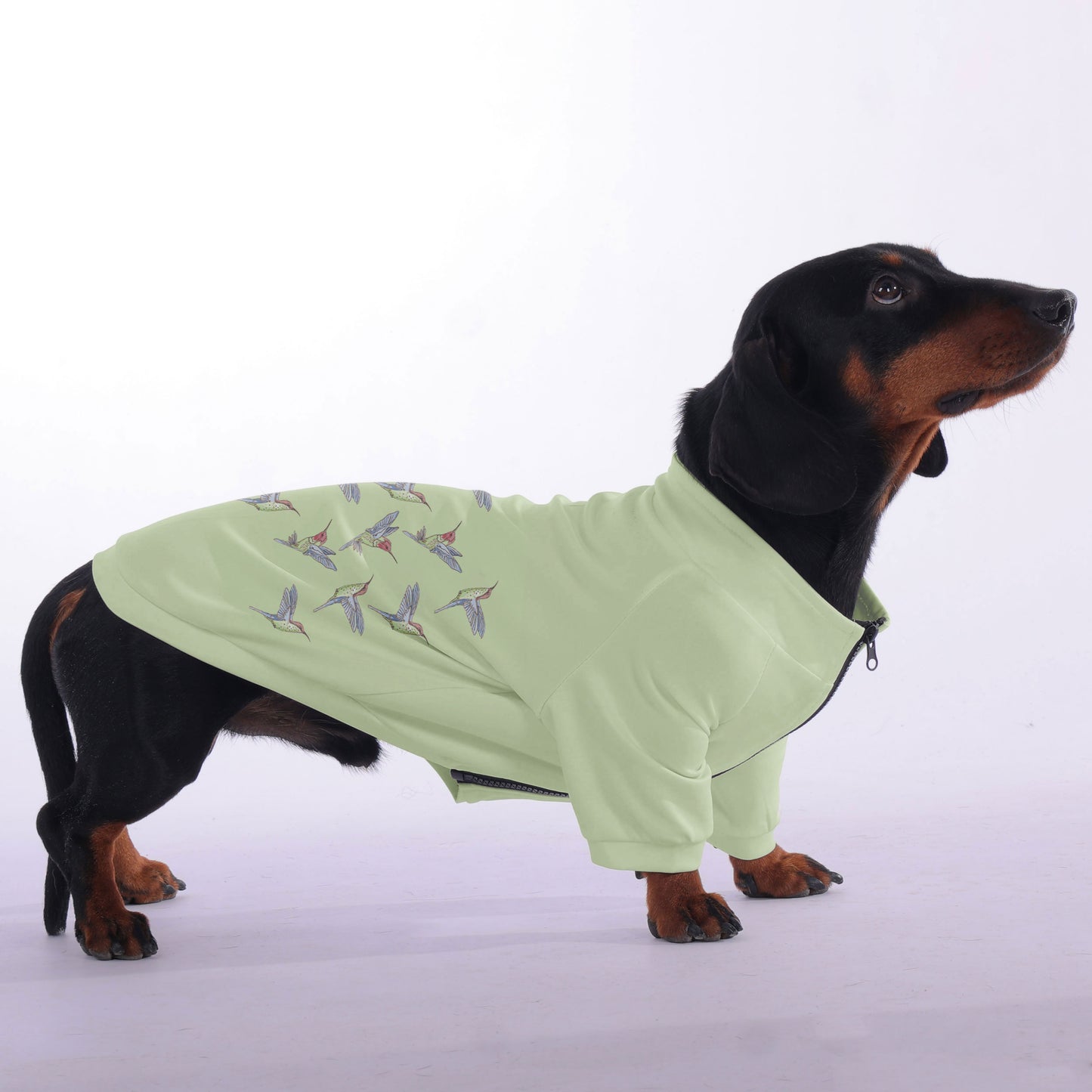 Angel - zip-up hooded sweatshirt for dachshund