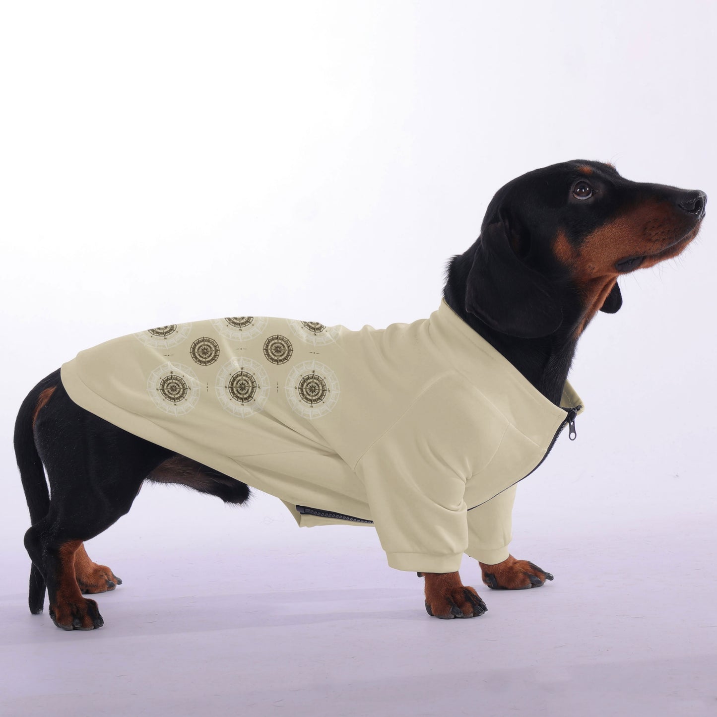 Paula - zip-up hooded sweatshirt for dachshund