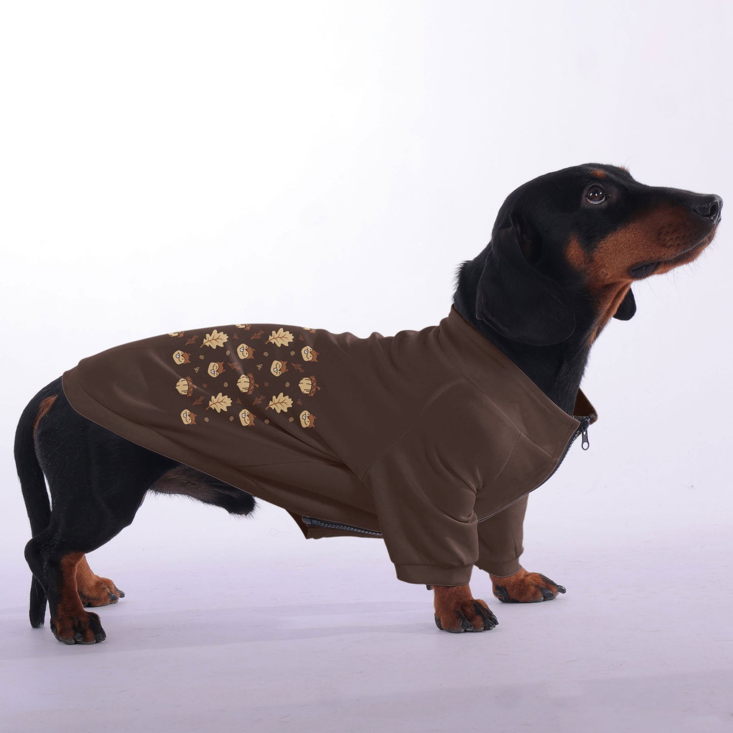 Mabel - zip-up hooded sweatshirt for dachshund
