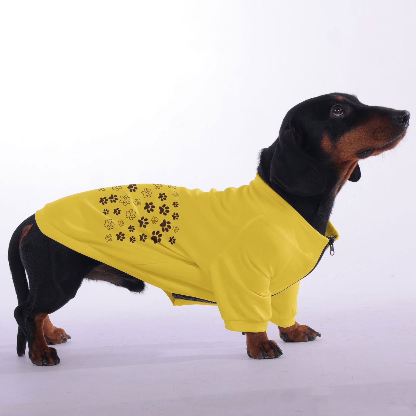 Chip - zip-up hooded sweatshirt for dachshund