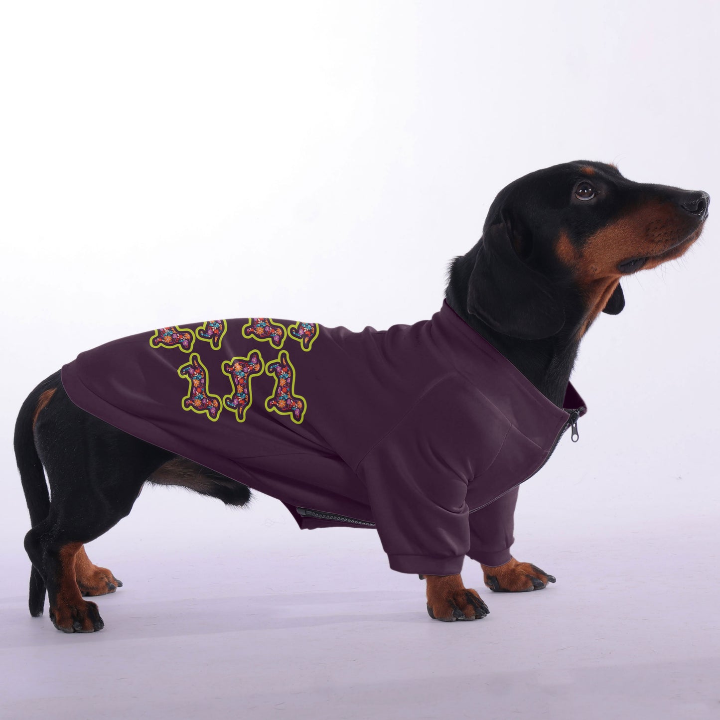 Pickle - zip-up hooded sweatshirt for dachshund