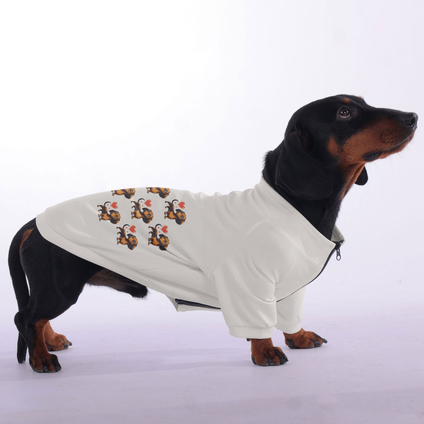 Bear - zip-up hooded sweatshirt for dachshund