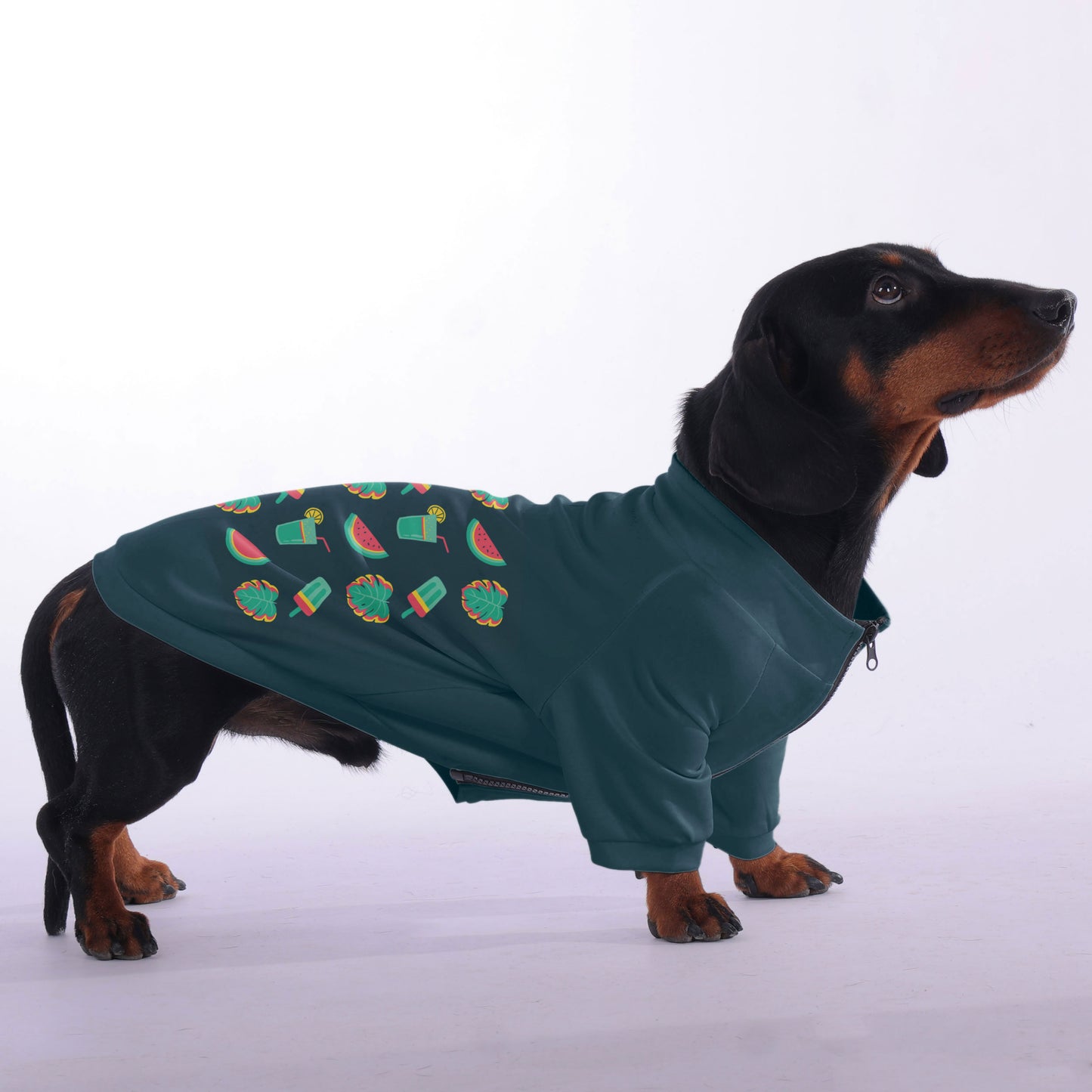 Ginger - zip-up hooded sweatshirt for dachshund