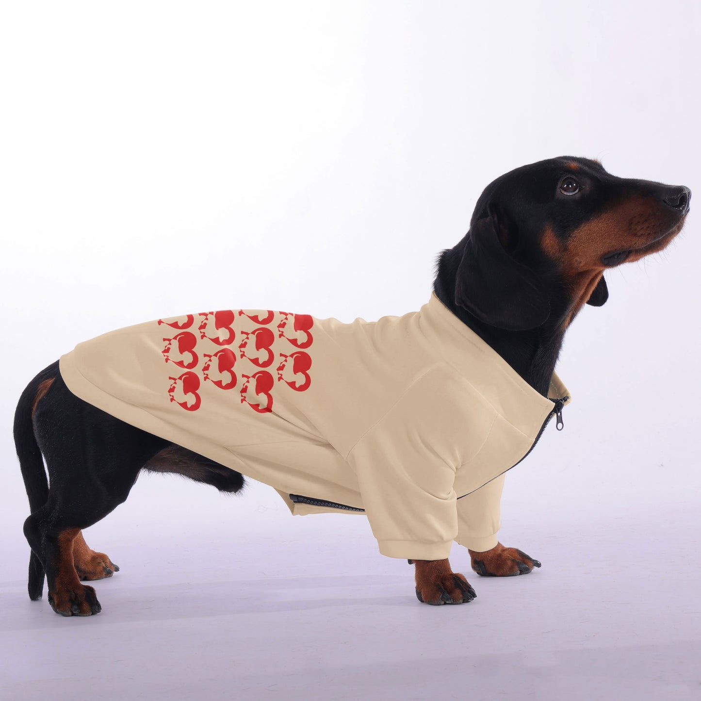 Frankie - zip-up hooded sweatshirt for dachshund