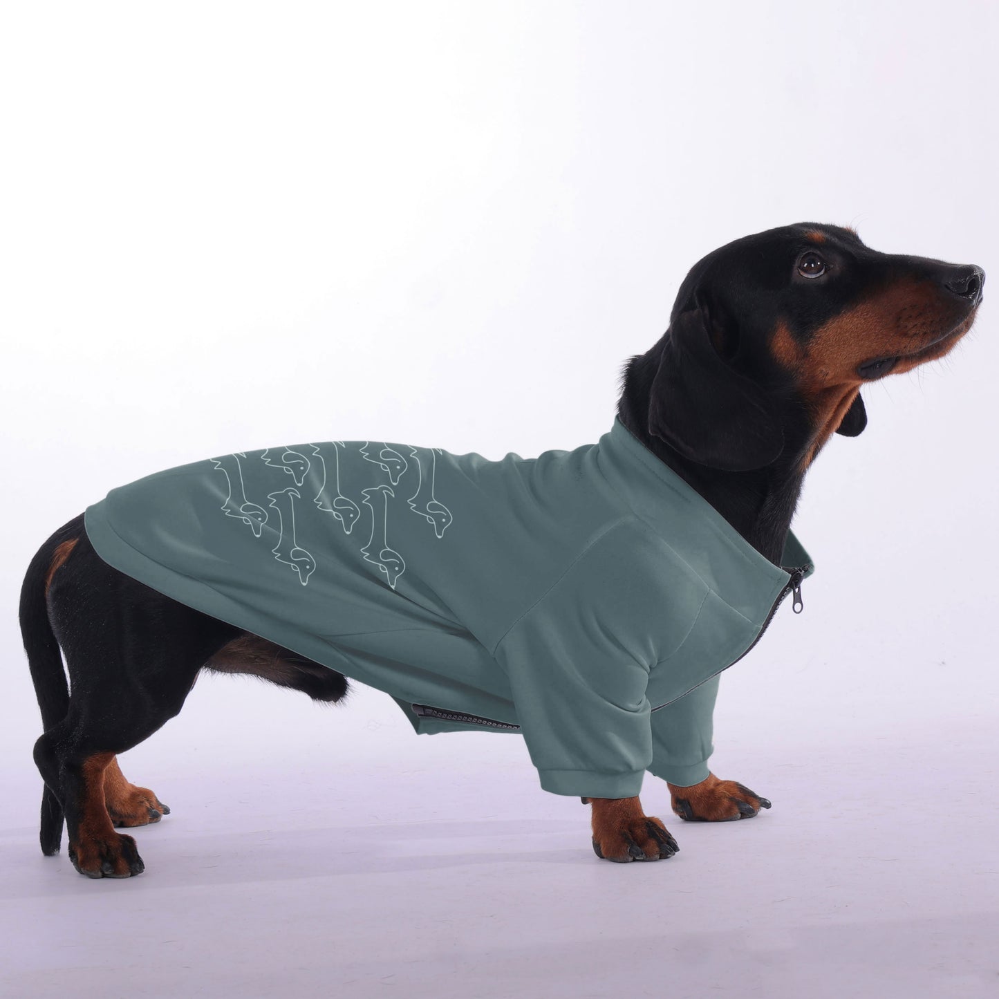 Rachel - zip-up hooded sweatshirt for dachshund