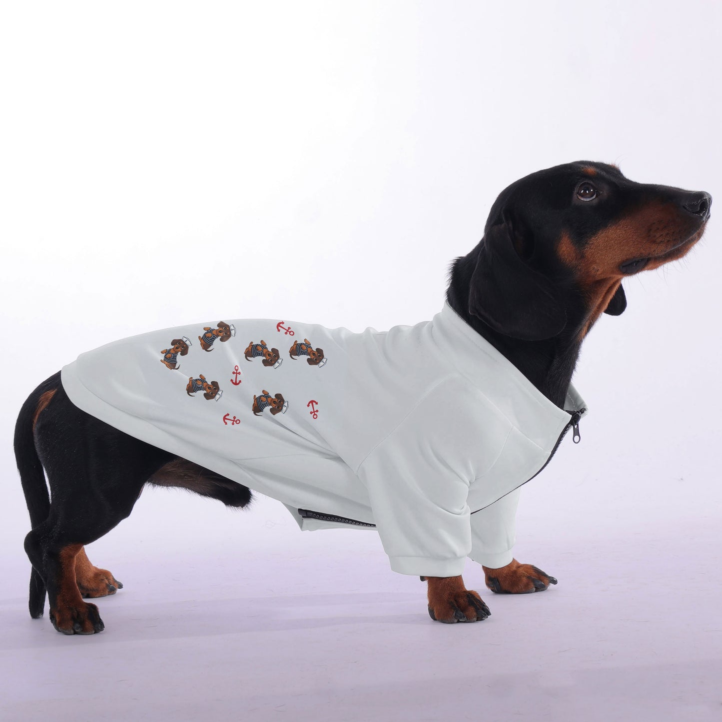 Trace - zip-up hooded sweatshirt for dachshund