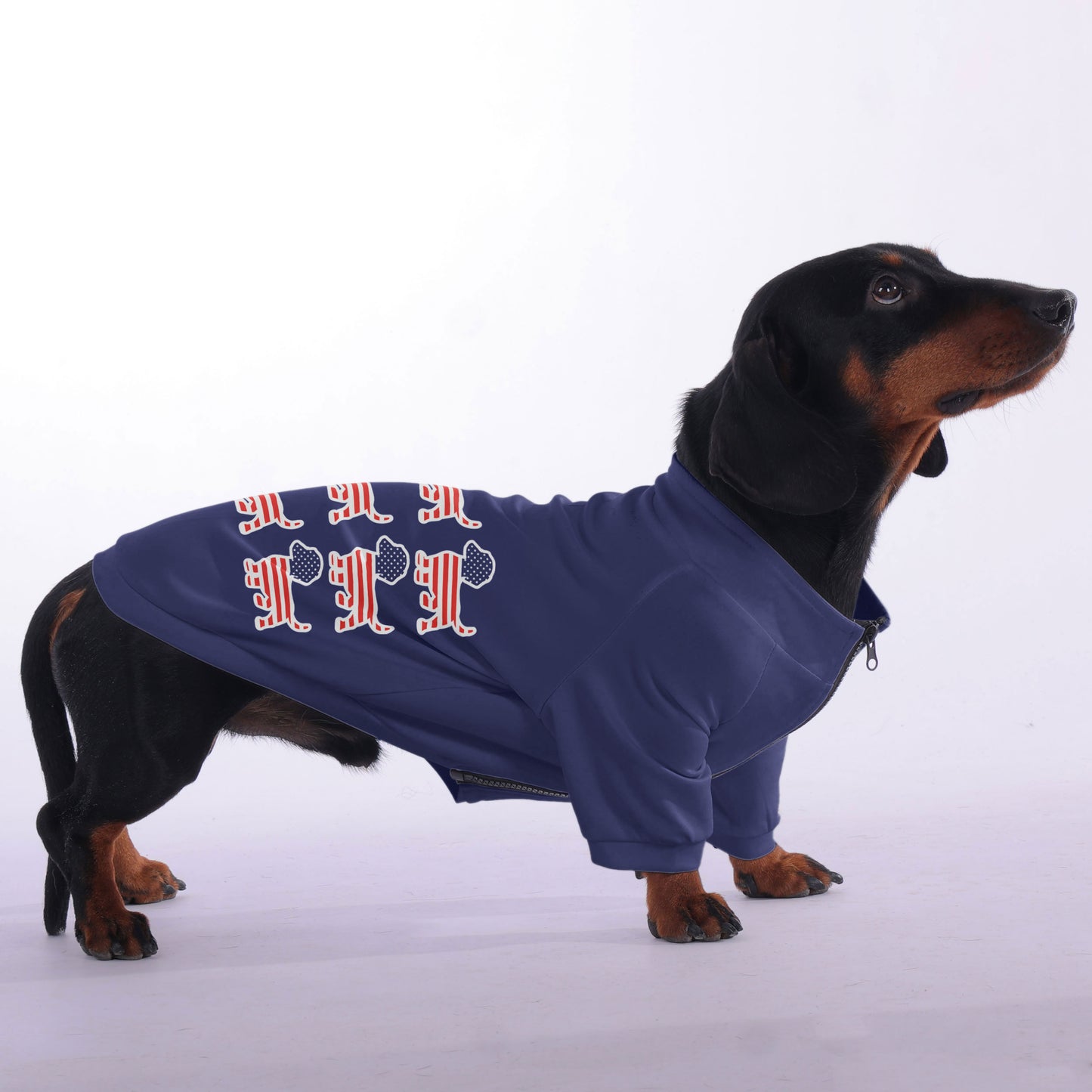 Loki - zip-up hooded sweatshirt for dachshund