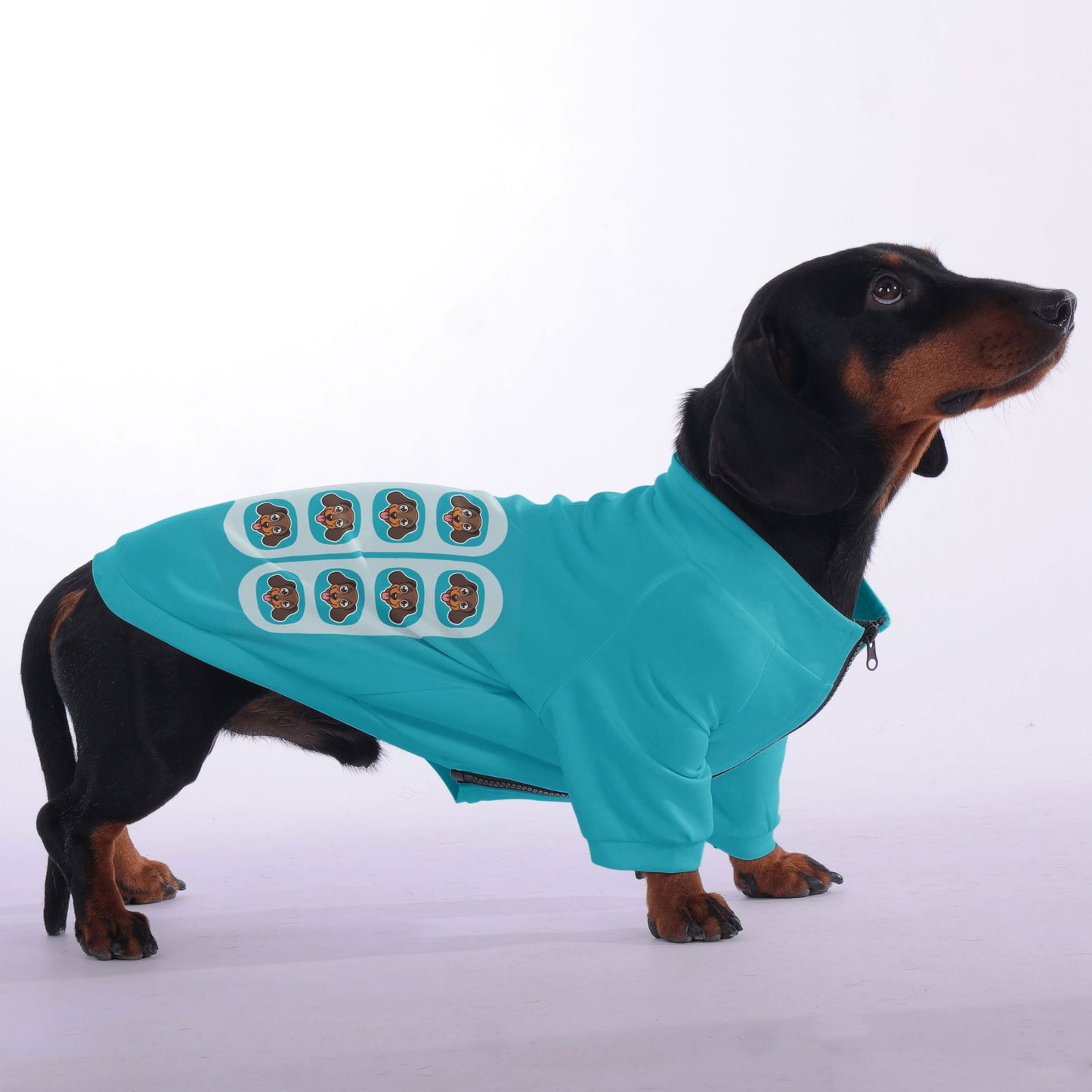 Pickle - zip-up hooded sweatshirt for dachshund