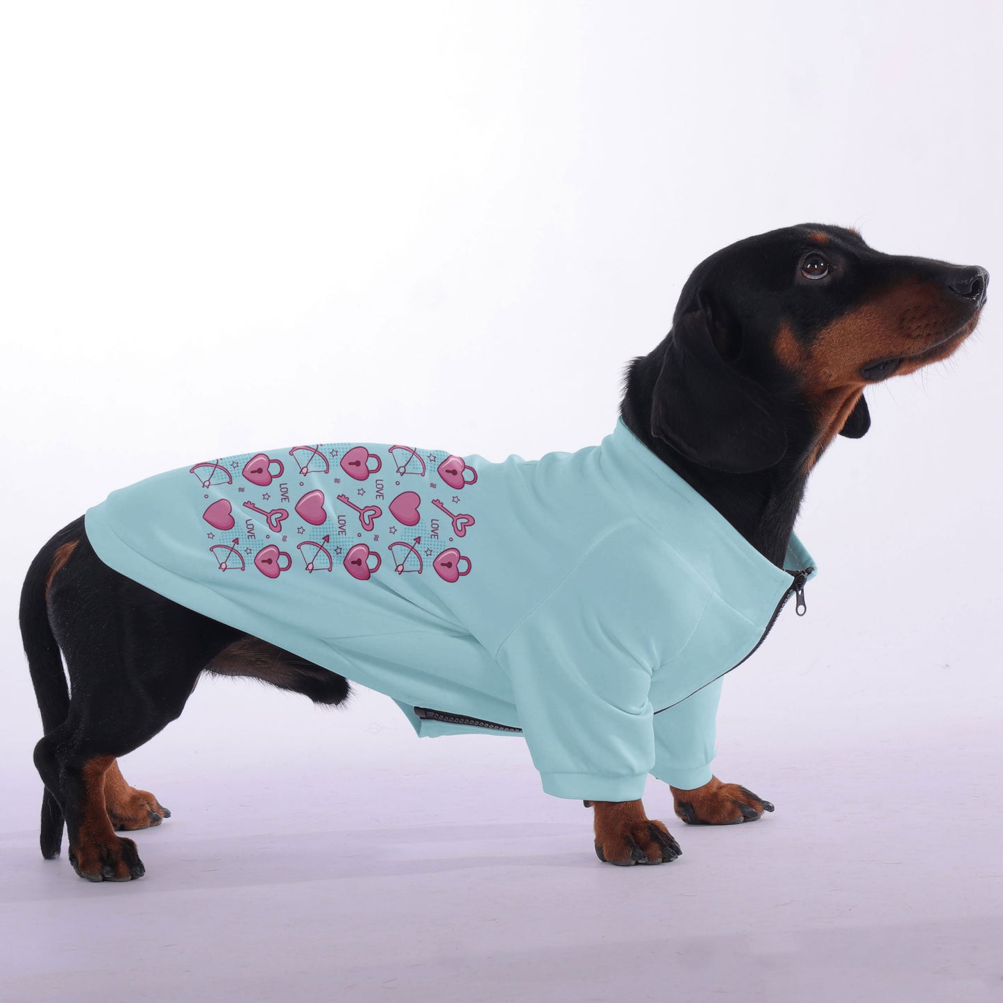Kobe - zip-up hooded sweatshirt for dachshund