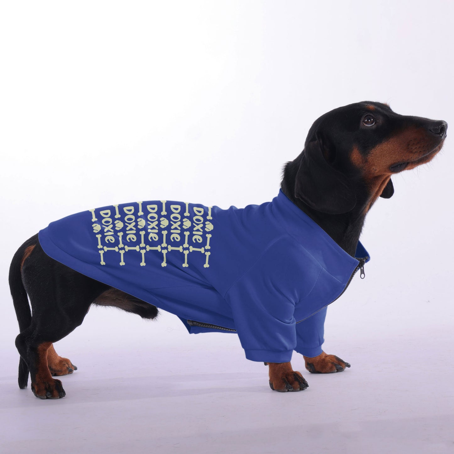 Shannon - zip-up hooded sweatshirt for dachshund