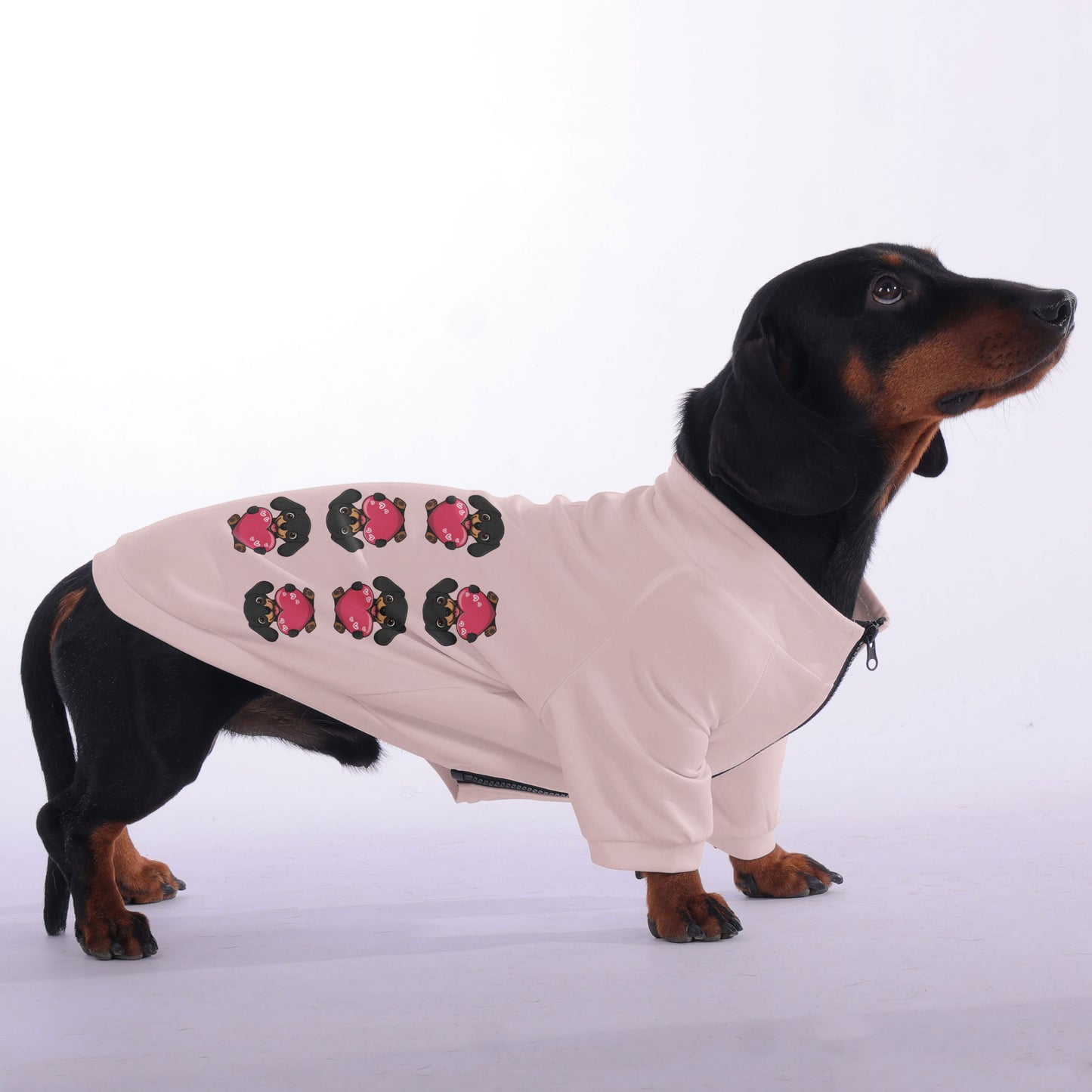 Duke - zip-up hooded sweatshirt for dachshund
