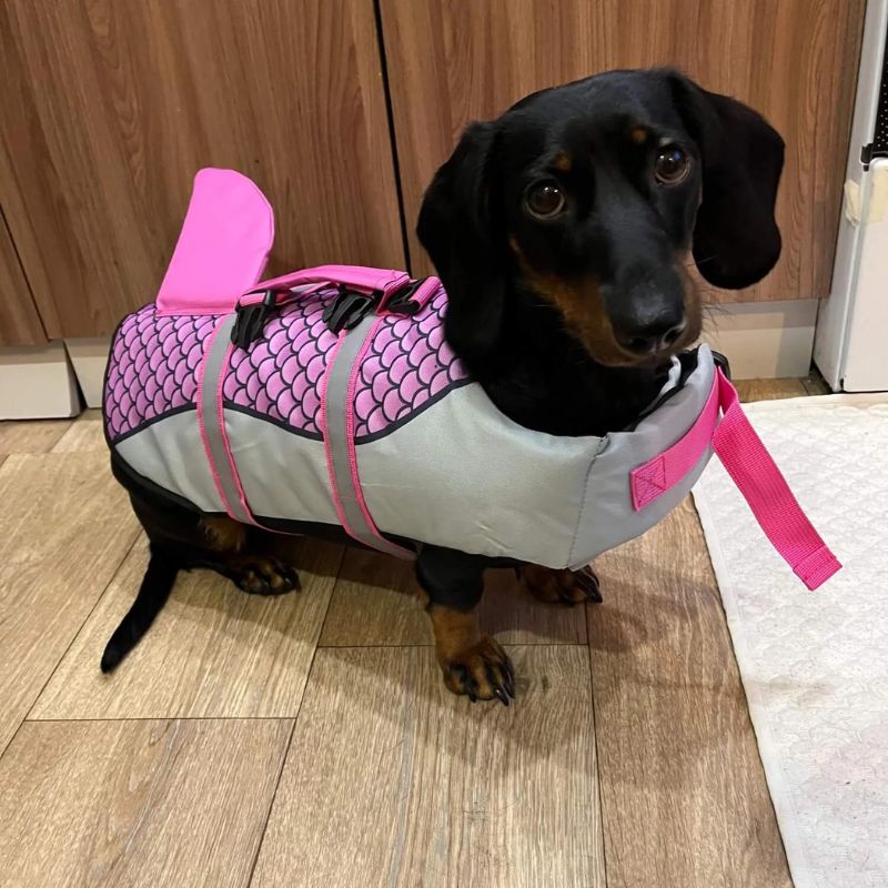 Dachshund life vest best sale