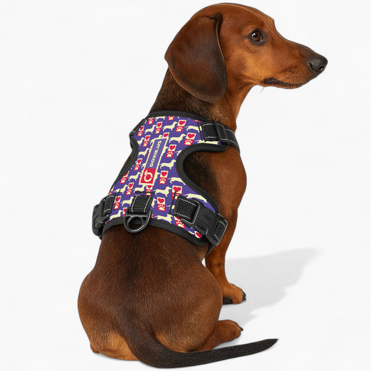 Bella - No-Pull Dachshund Dog Harness