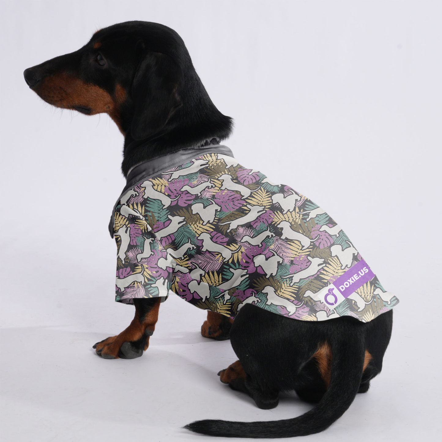 max - Hawaiian Shirt for Doxies
