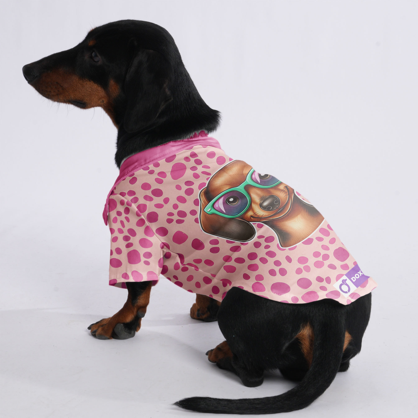 Rocky - Hawaiian Shirt for Doxies