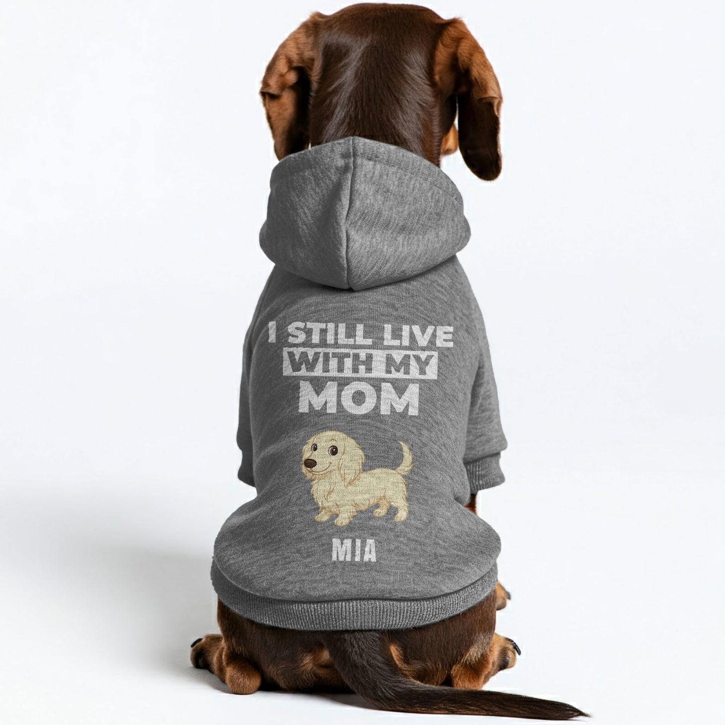 I Still Live – Personalized Dachshund Hoodies with Your Doxie’s Name & Clipart – Stylish, Cozy & Made from Premium 100% Cotton