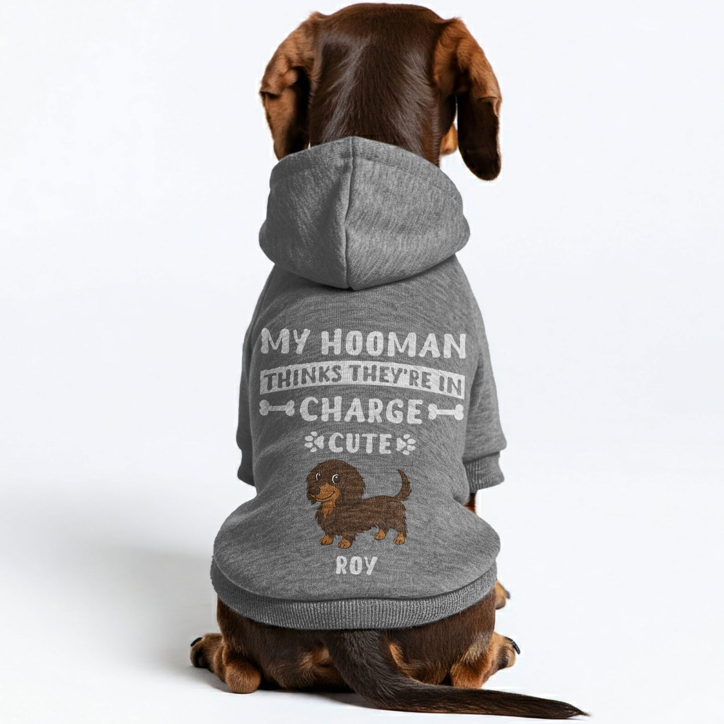 My Hooman – Personalized Dachshund Hoodies with Your Doxie’s Name & Clipart – Stylish, Cozy & Made from Premium 100% Cotton