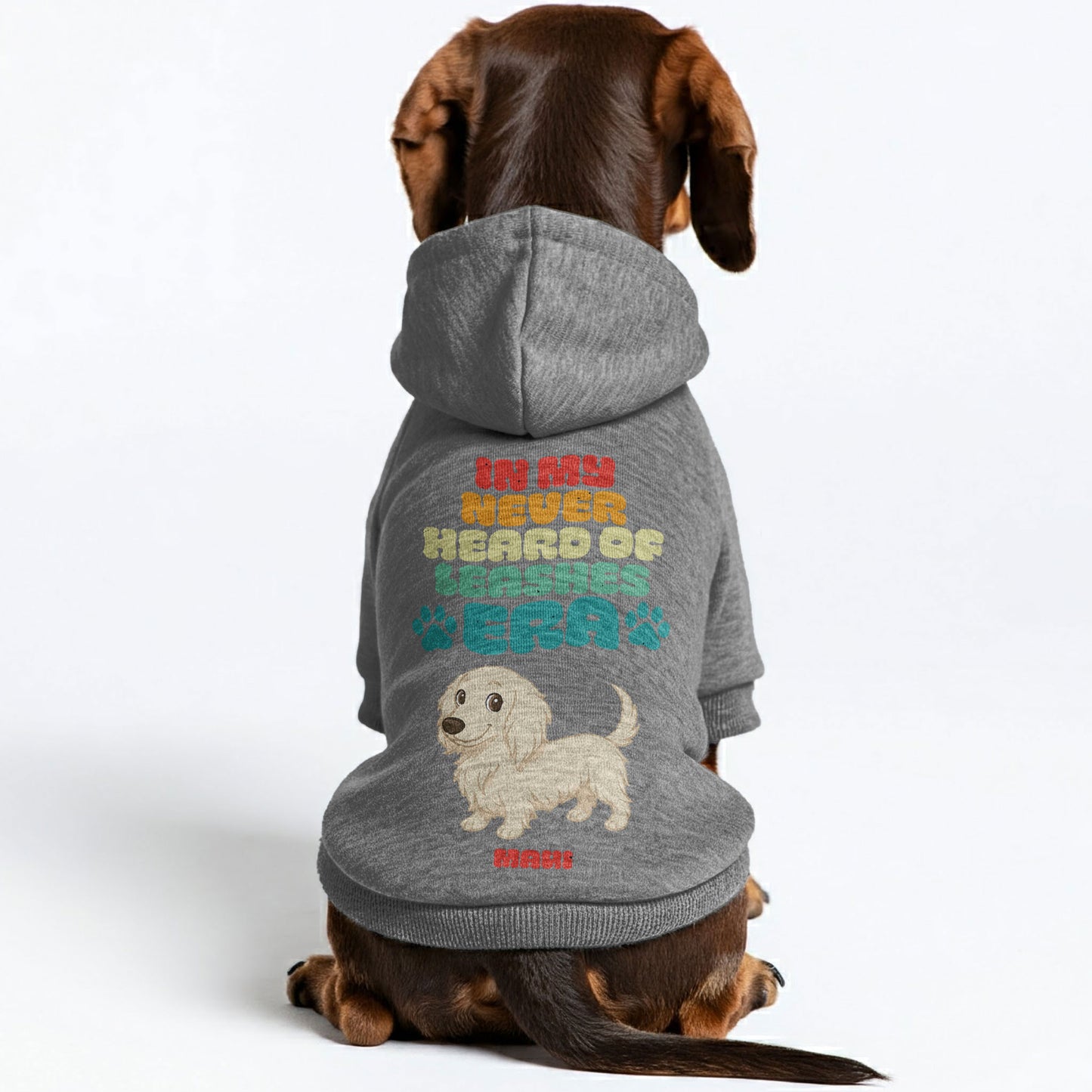 What leash– Personalized Dachshund Hoodies with Your Doxie’s Name & Clipart – Stylish, Cozy & Made from Premium 100% Cotton
