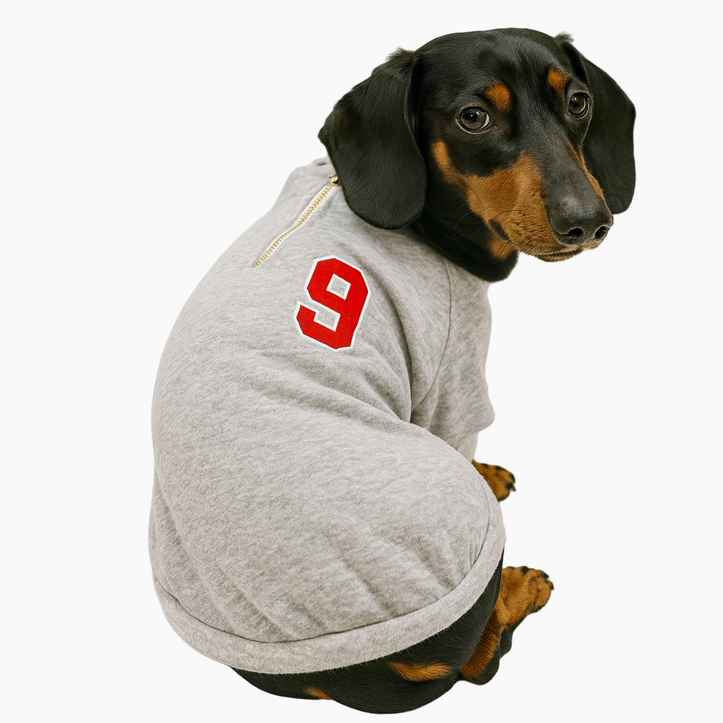 PawSport-Dachshund-Varsity-Sweatshirt.jpg