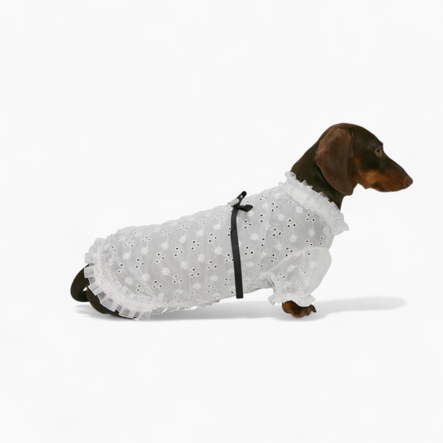 PrinsHund-Dachshund-Princess-Dress.jpg