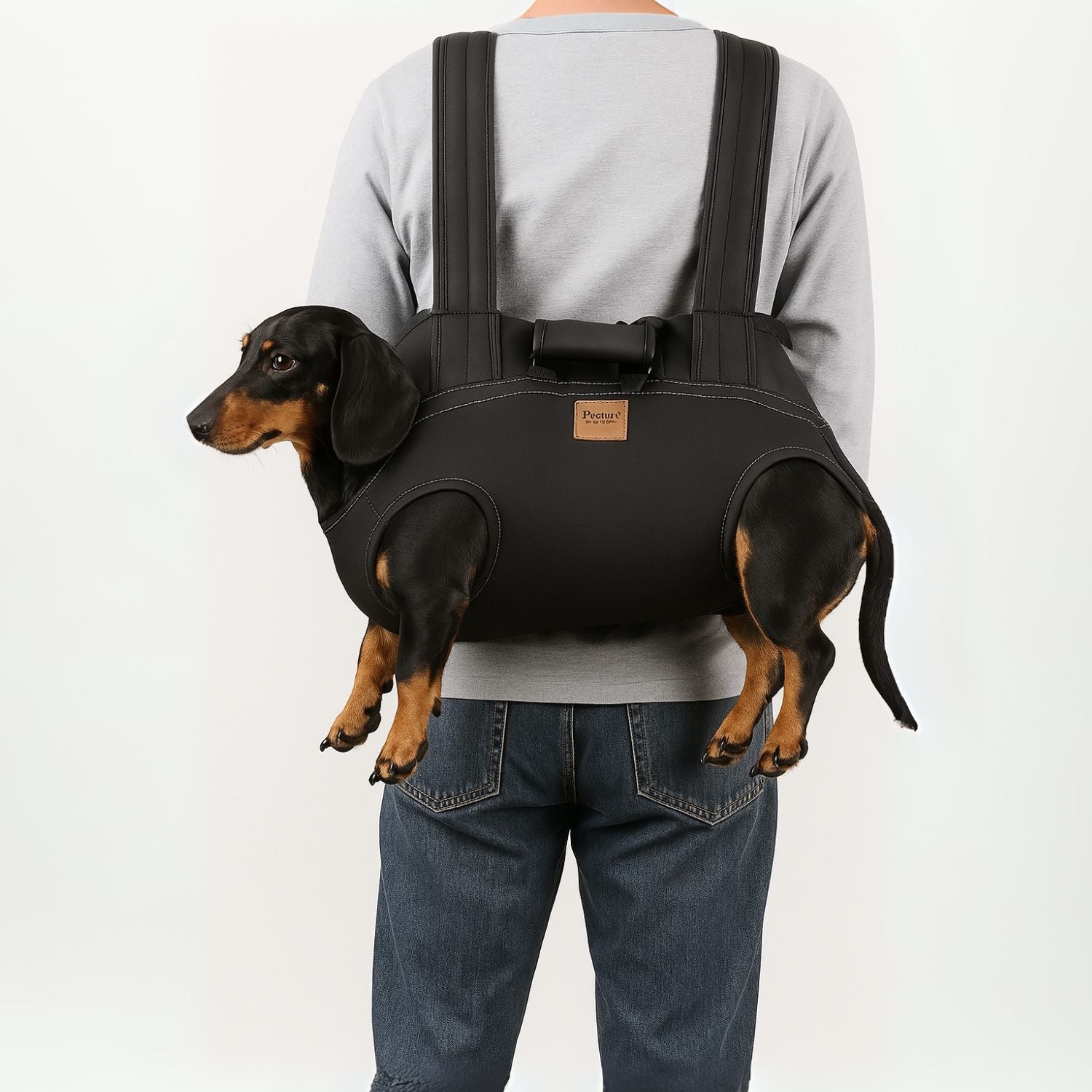 best hiking backpack for dachshund PupPack Premium Dachshund Backpack Carrier