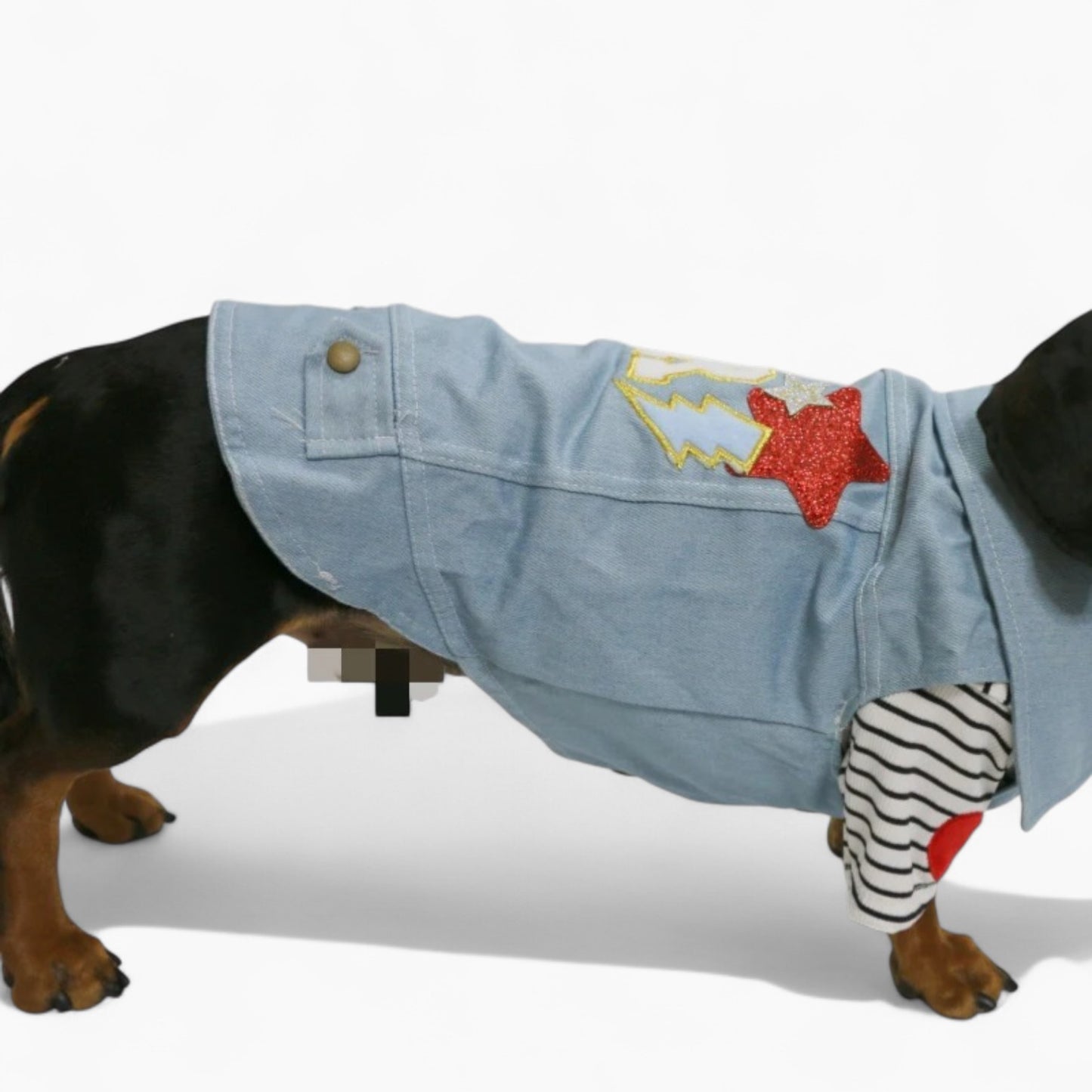 PupPatriot-Dachshund-Jeans-Jacket.jpg