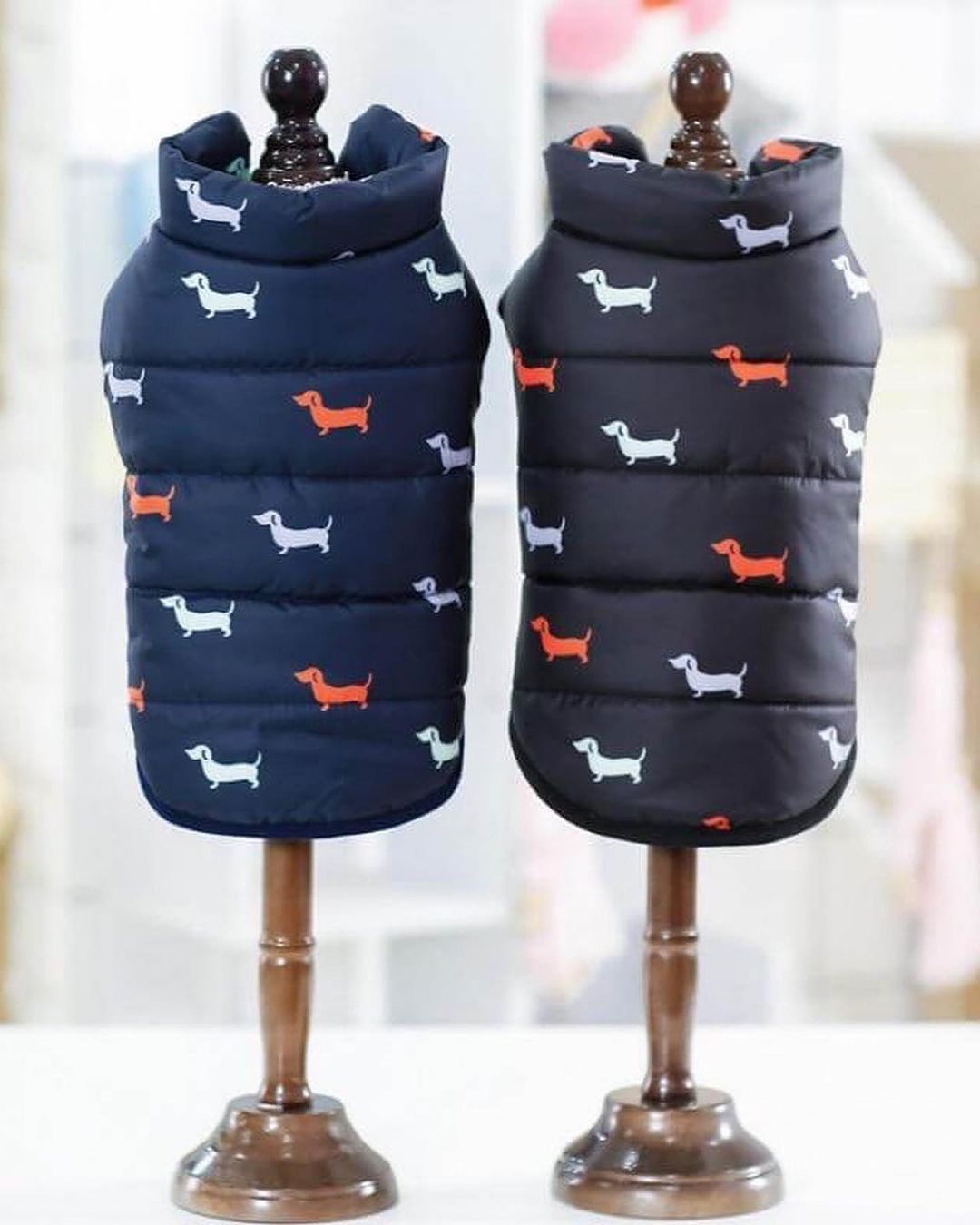 Dachshund Winter Coats Waterproof Jacket