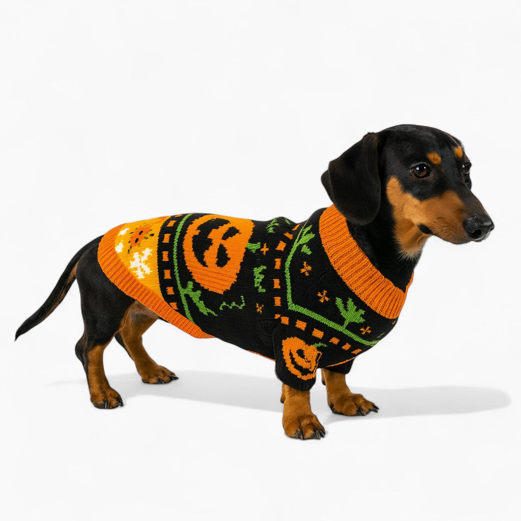SpookPup-Dachshund-Halloween-Sweater.jpg