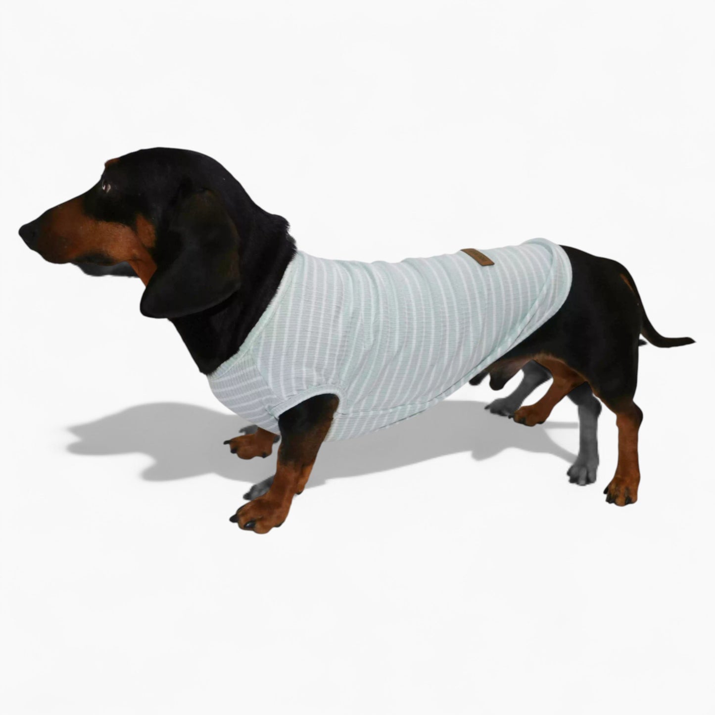 StripeiCool-Dachshund-Summer-Vest.jpg