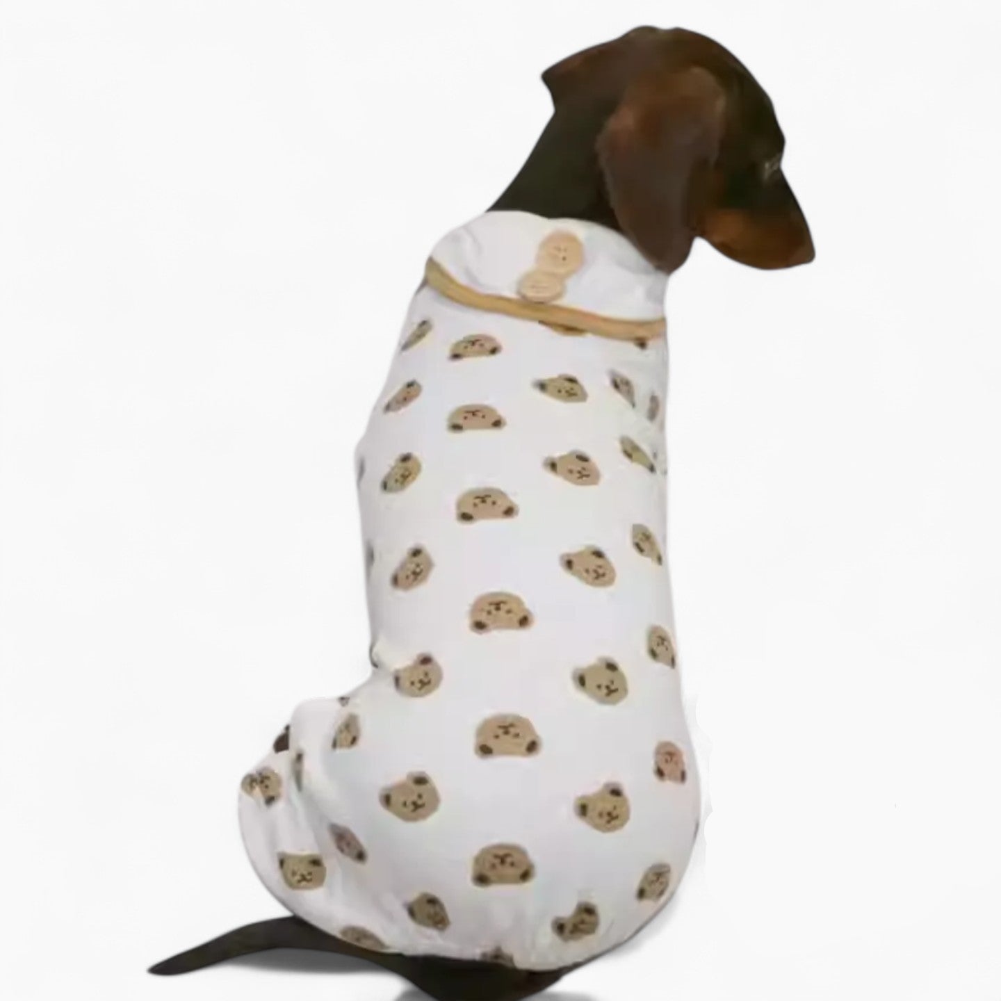 WieniBear-Dachshund-Bear-Print-Pajamas.jpg