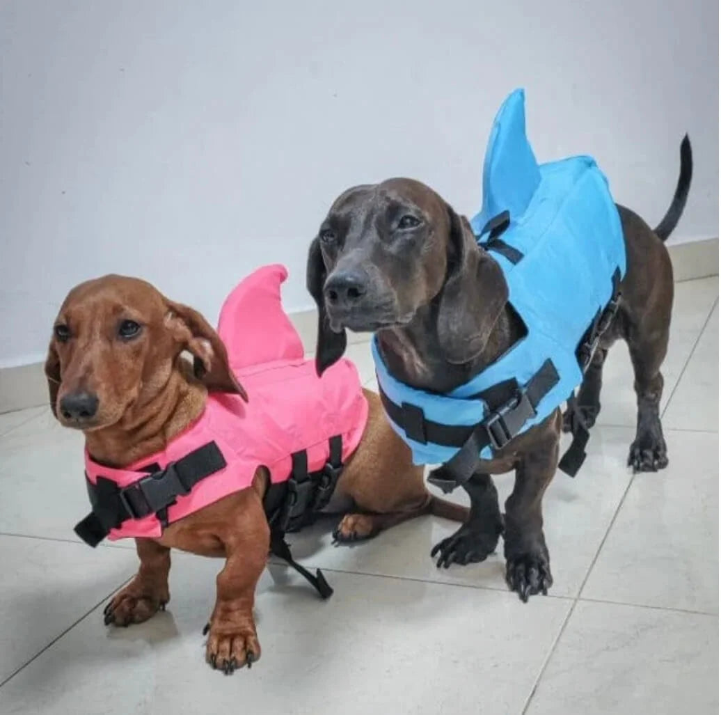 dachshund-shark-vest-doxie.us