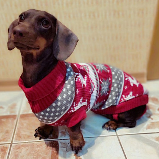 Dachshund-Winter-Sweater-Christmas Costume-doxie.us