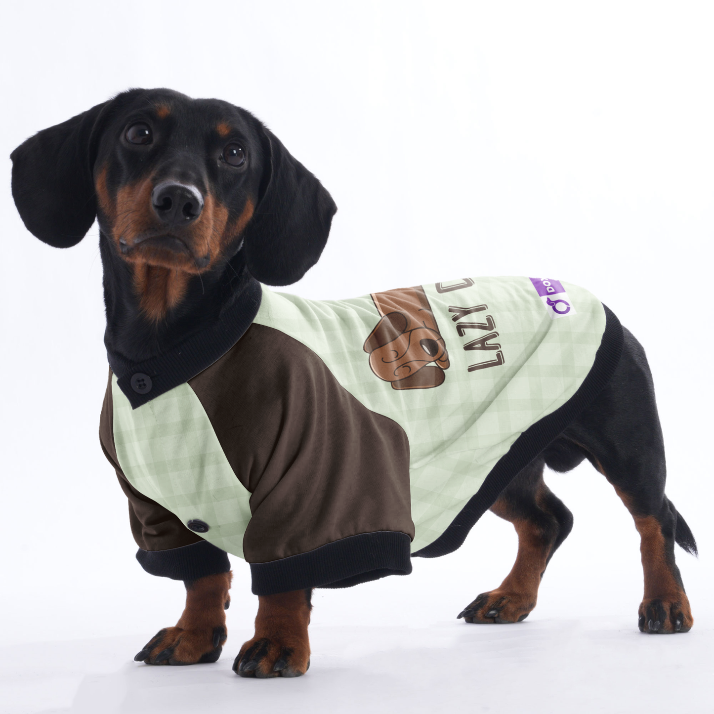 Lazy dog - Jacket for Dachshunds