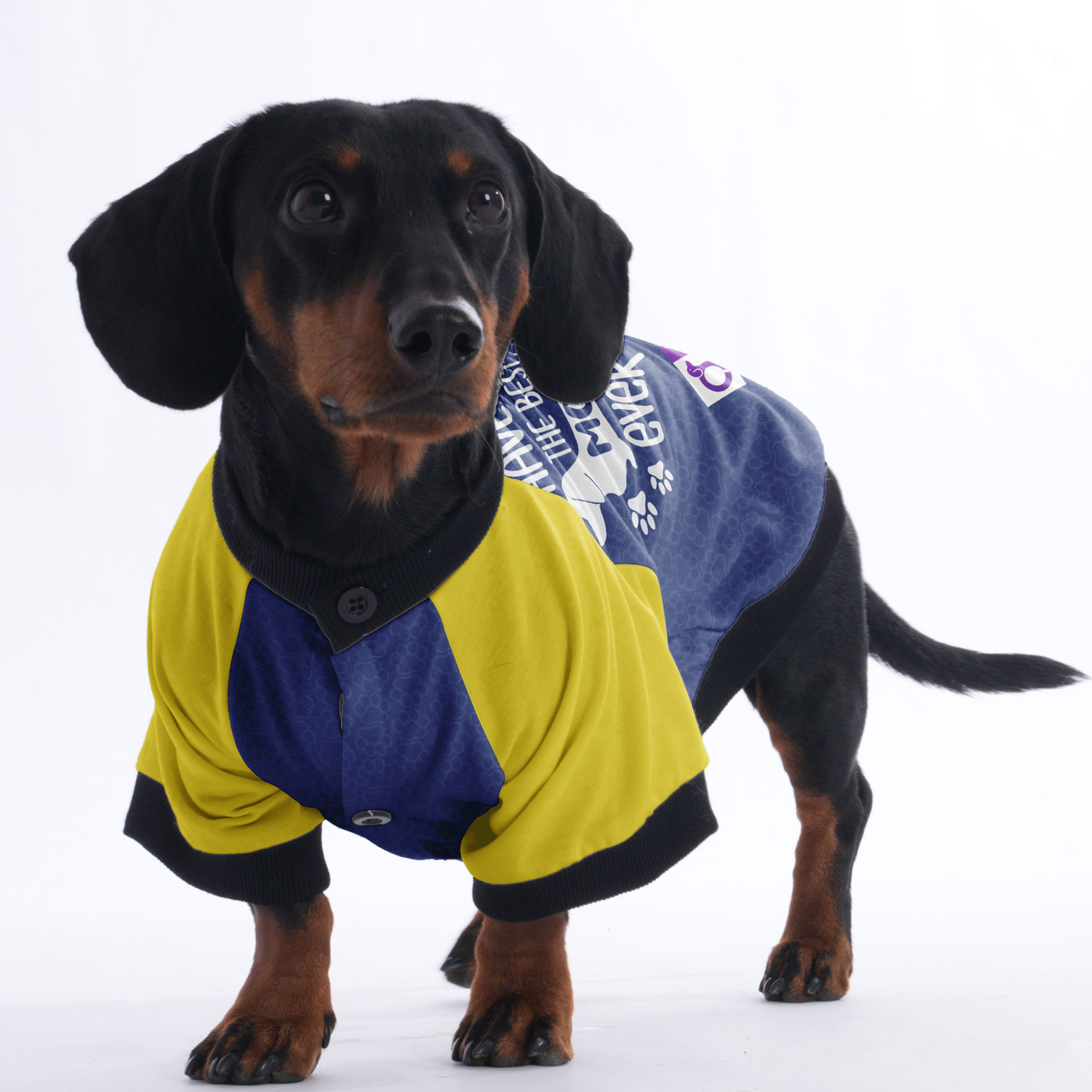 I Have The Best Mom Ever - Jacket for Dachshunds