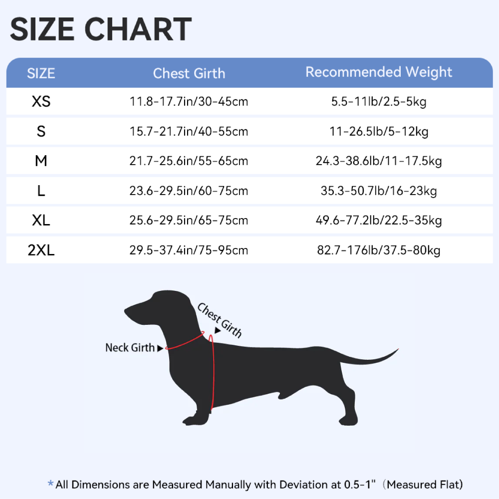 Rollo - Personalized Dachshund Harness