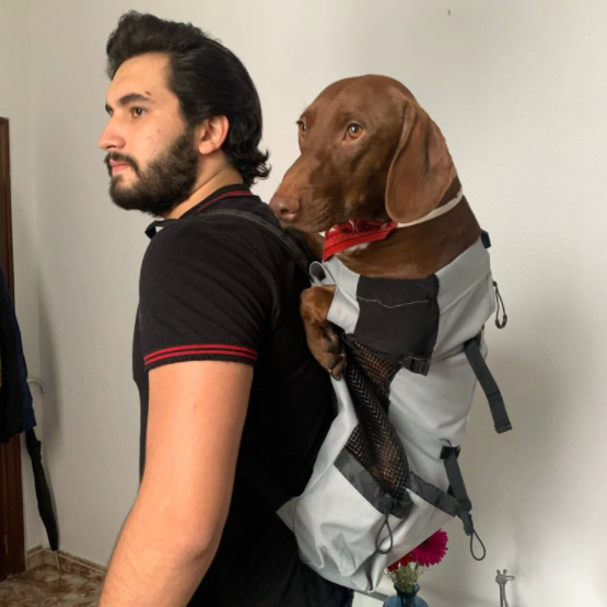 Backpack for Dachshunds