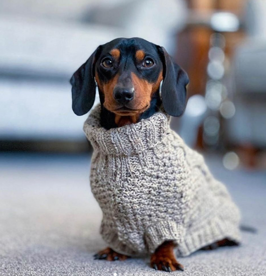 Dachshund Knitwear Winter Sweater