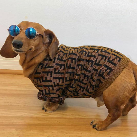 FENDI dachshund Sweater 