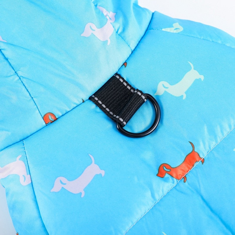 Dachshund Winter Coats Waterproof Jacket for Puppy - Dachshund Shop