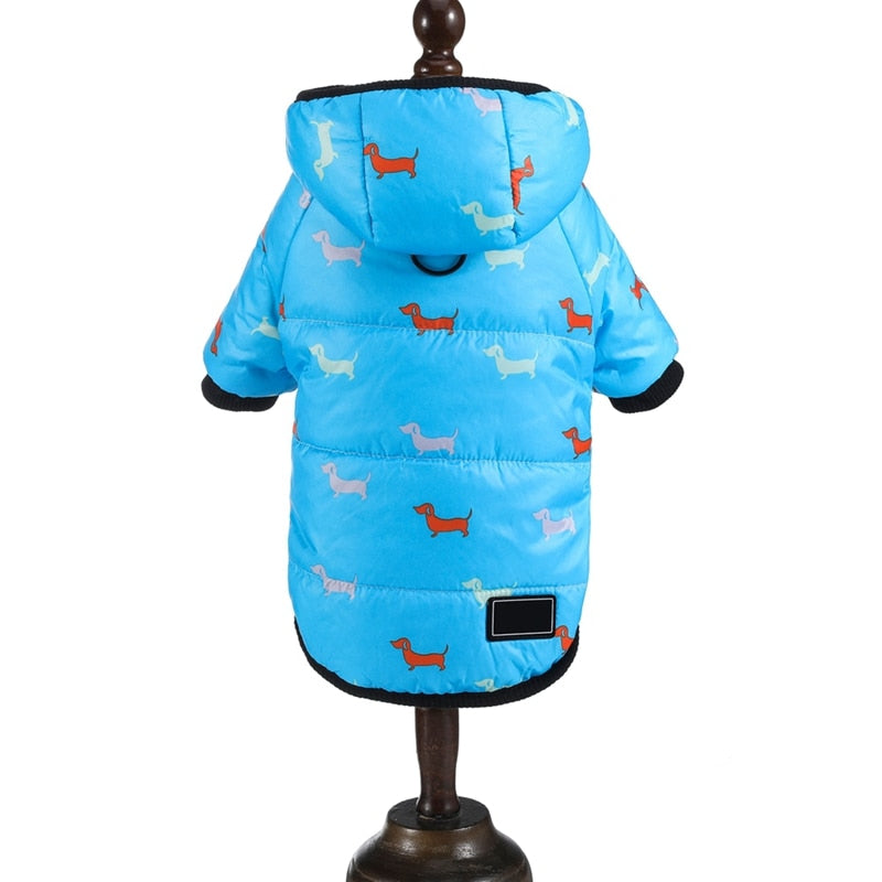 Dachshund Winter Coats Waterproof Jacket for Puppy - Dachshund Shop