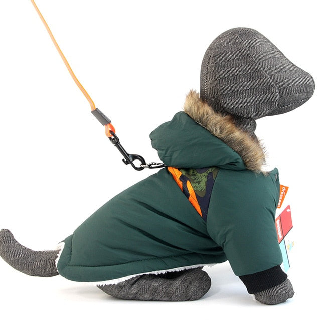 Dachshund Winter Coat for Extreme winter- Dachshund Shop.jpg