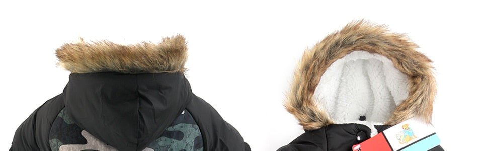 Dachshund Winter Coat for Extreme winter- Dachshund Shop