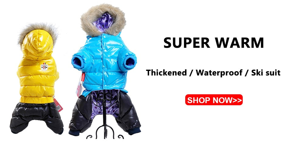 Dachshund Winter Coat for Extreme winter- Dachshund Shop.jpg