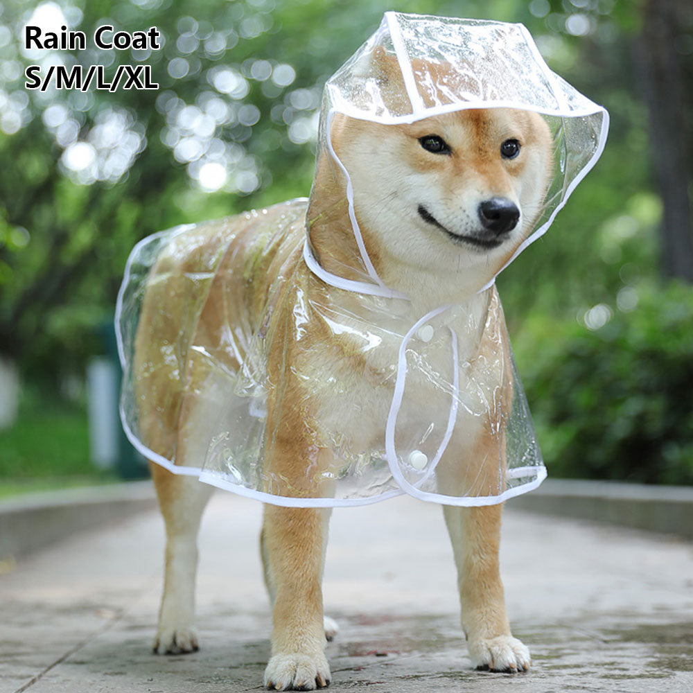 RainCoat for Dachshunds