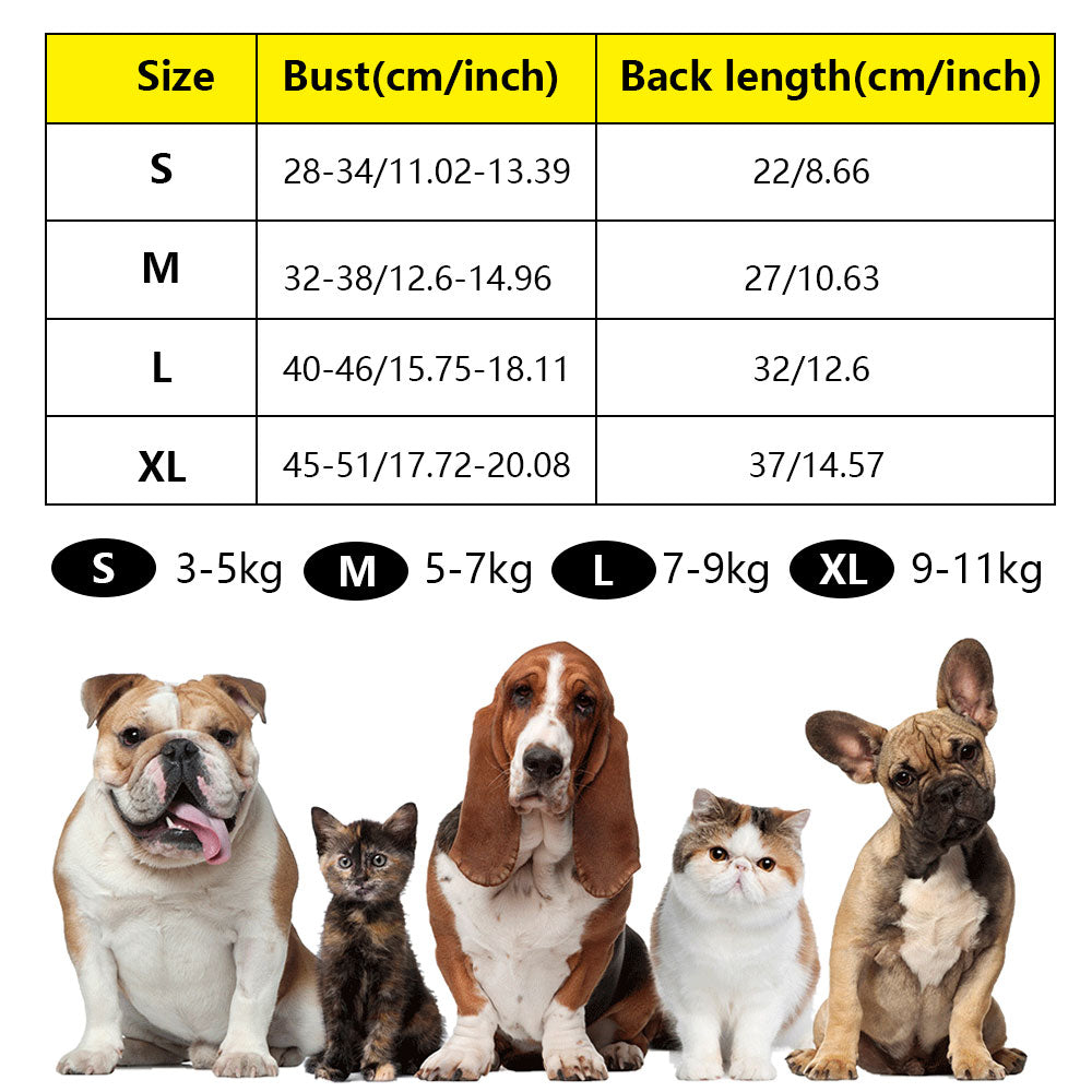 RainCoat for Dachshunds